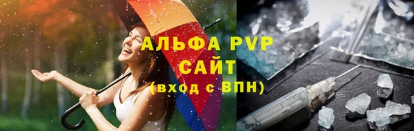 шишки Корсаков