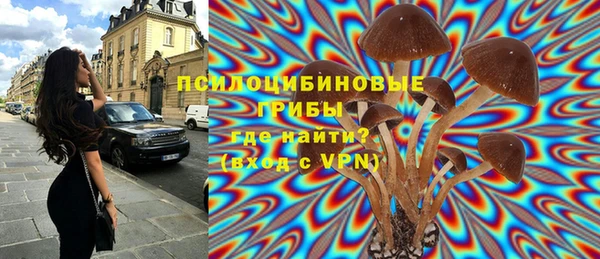 ПСИЛОЦИБИНОВЫЕ ГРИБЫ Костерёво