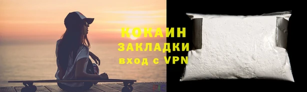 шишки Корсаков