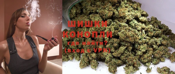 прущие крисы Кодинск