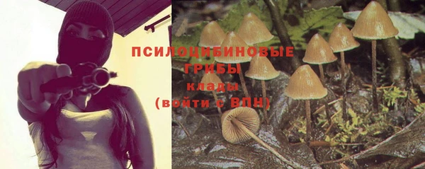 прущие крисы Кодинск