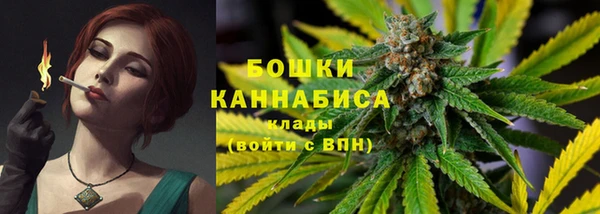 прущие крисы Кодинск