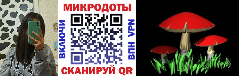 Купить где  Бабушкин  Галлюциногенные грибы Psilocybe 
